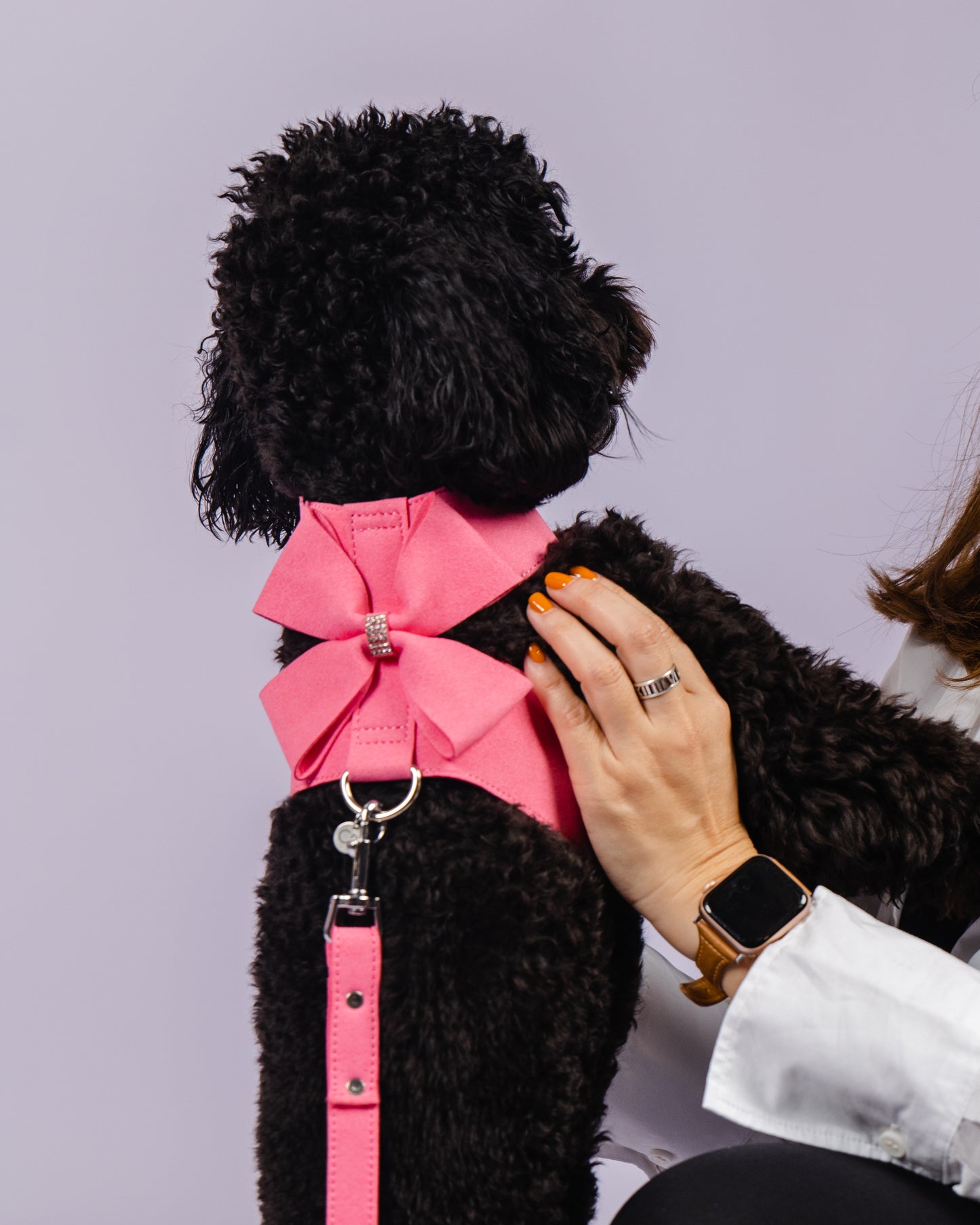 Crystal Cat/Dog Harness and Leash Set in Pink