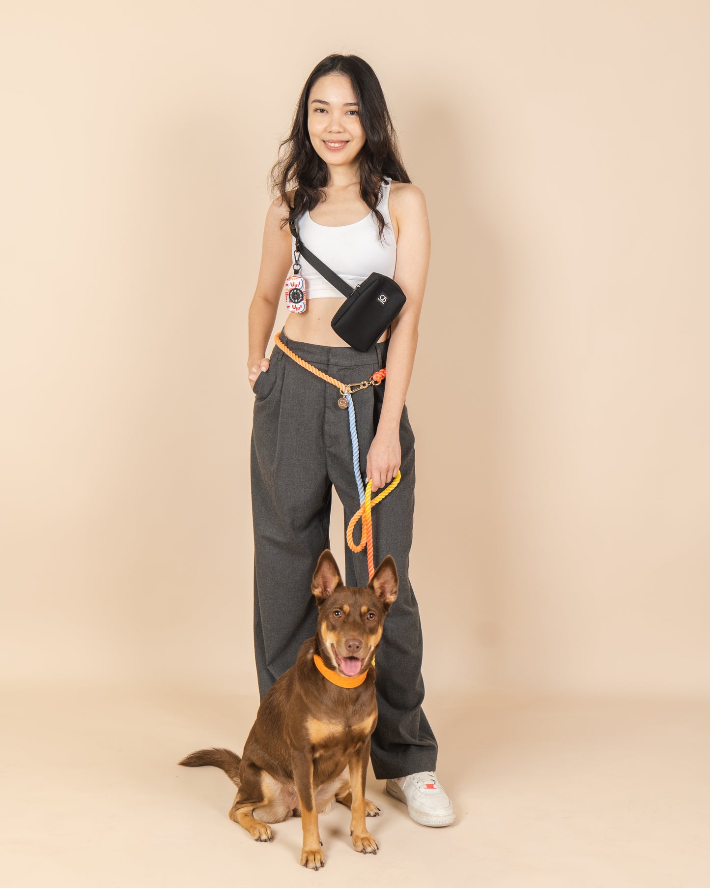 Everyday dog walking pouch in Black