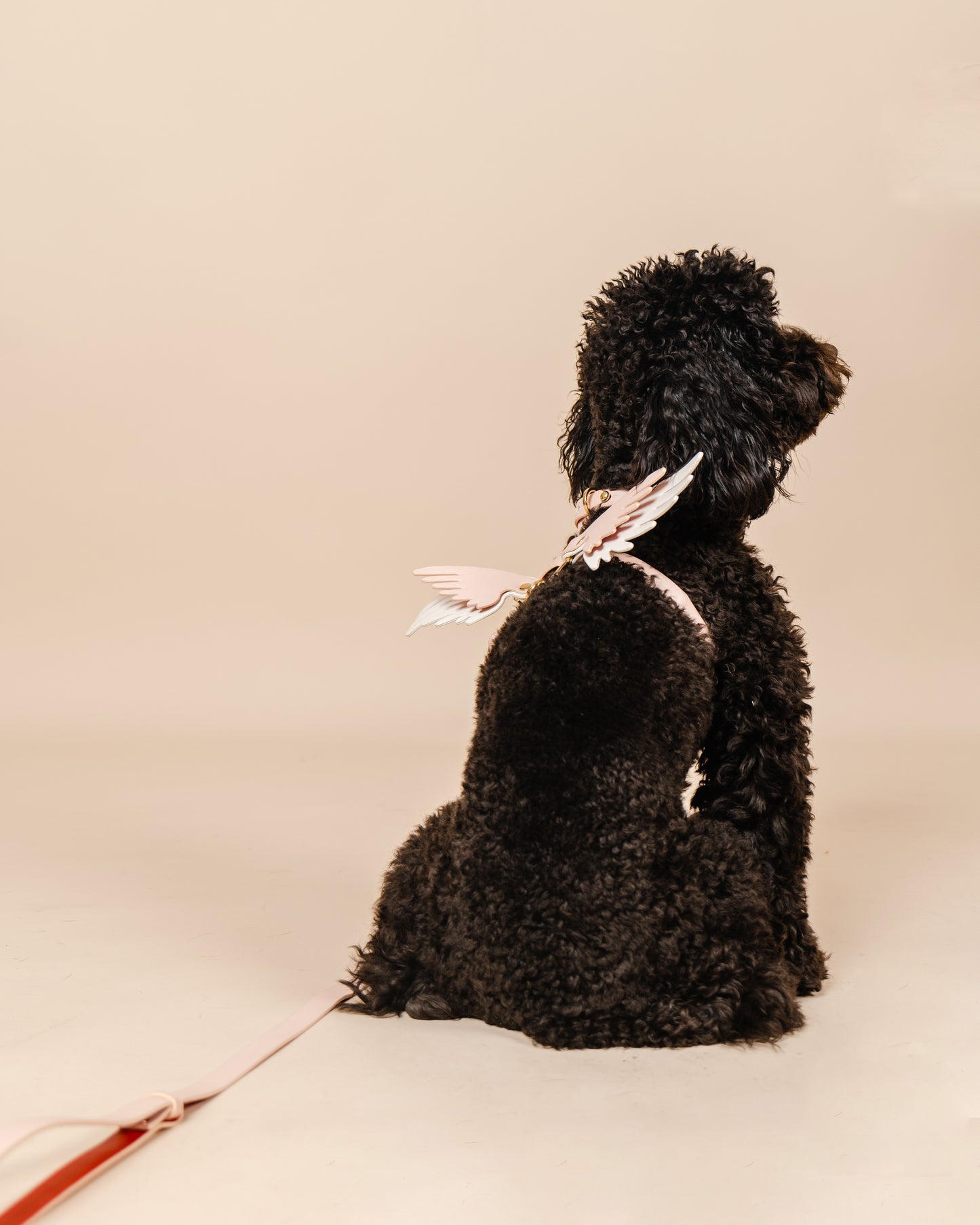 Gabriel's Wings Harness and Leash set in Cloud Pink + Snow White (Smooth)