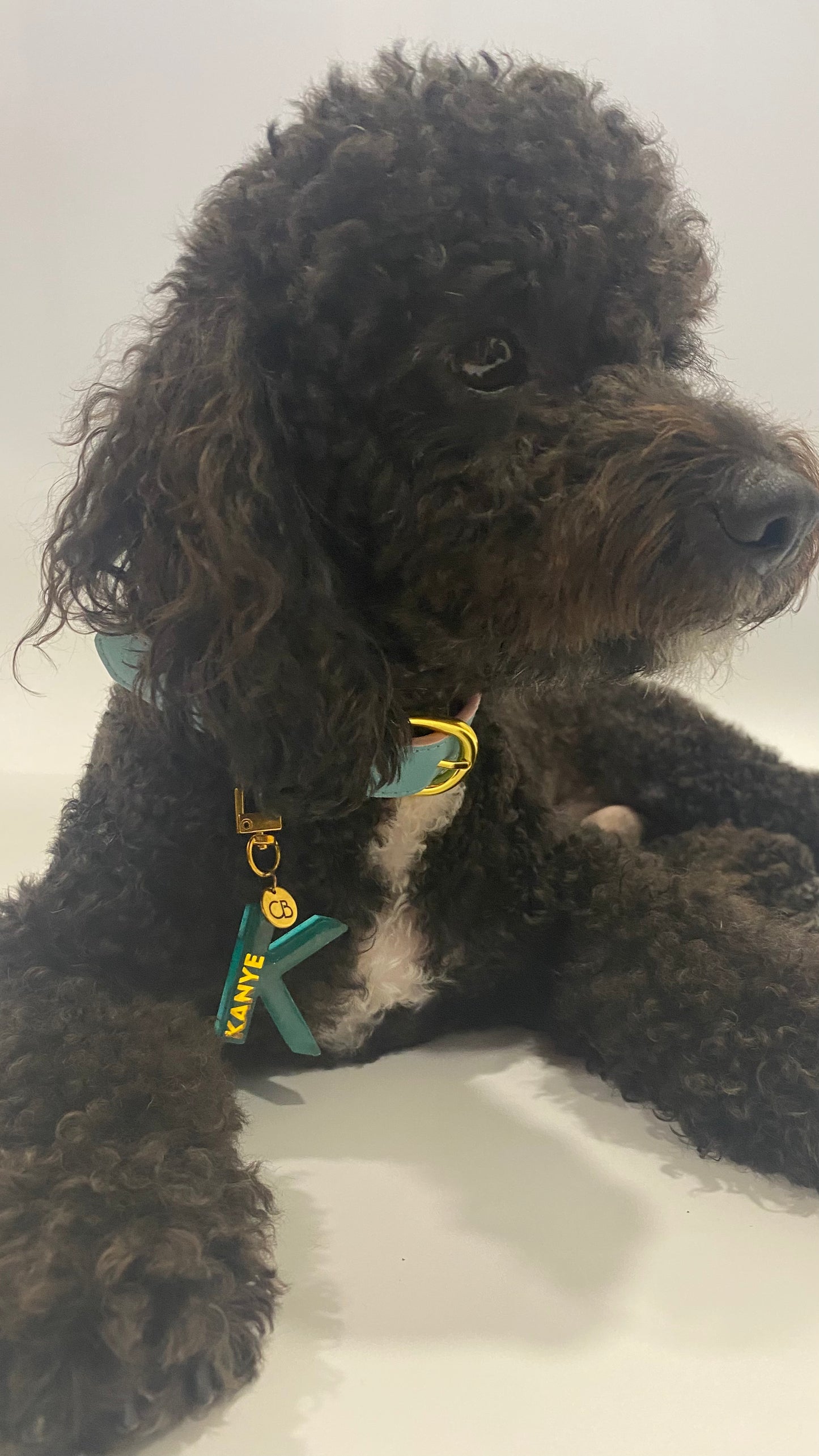 Handcrafted Resin Alphabet Pet Tags