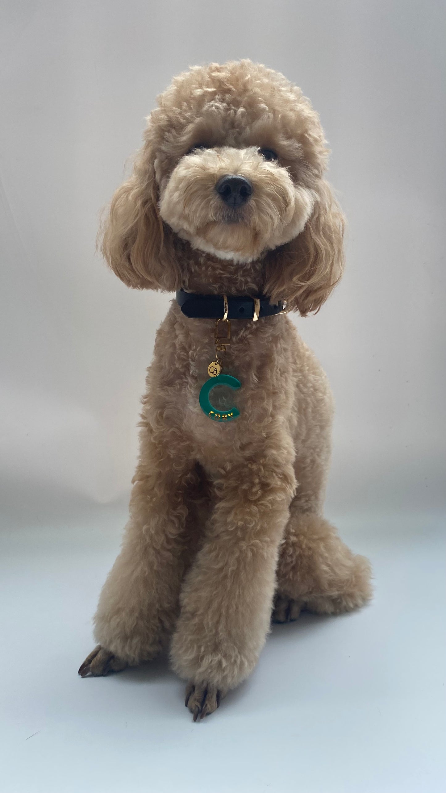 Handcrafted Resin Alphabet Pet Tags