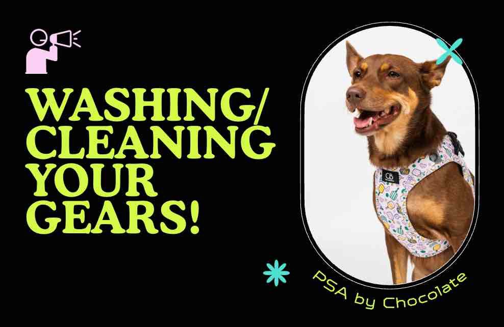 Washing/Cleaning Your Gears!