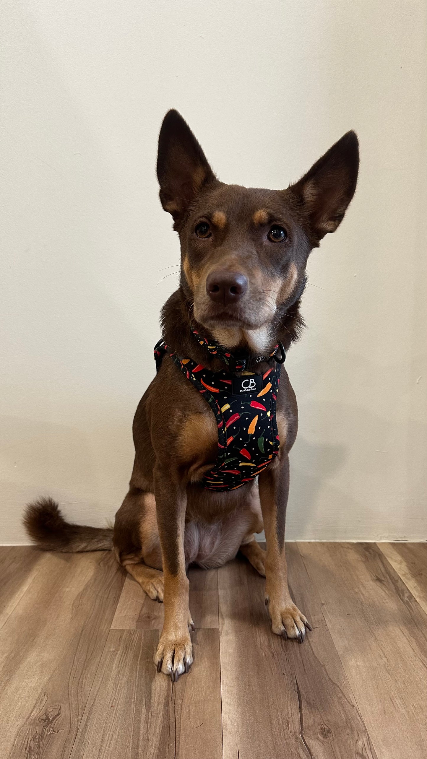 Teeny Step-In Vest/Harness in Chilli Padi