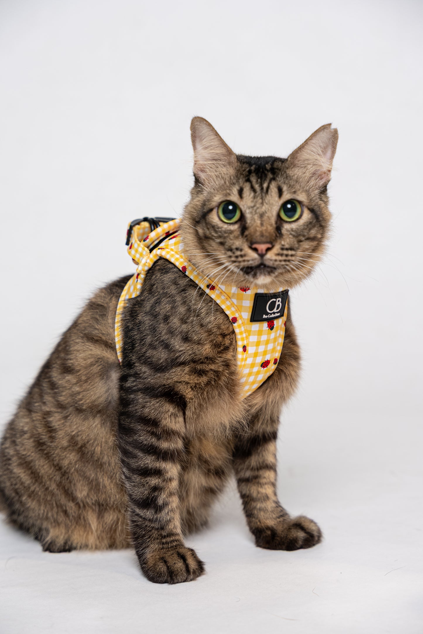 Teeny Step-In Vest/Harness in LadyBug Lemon
