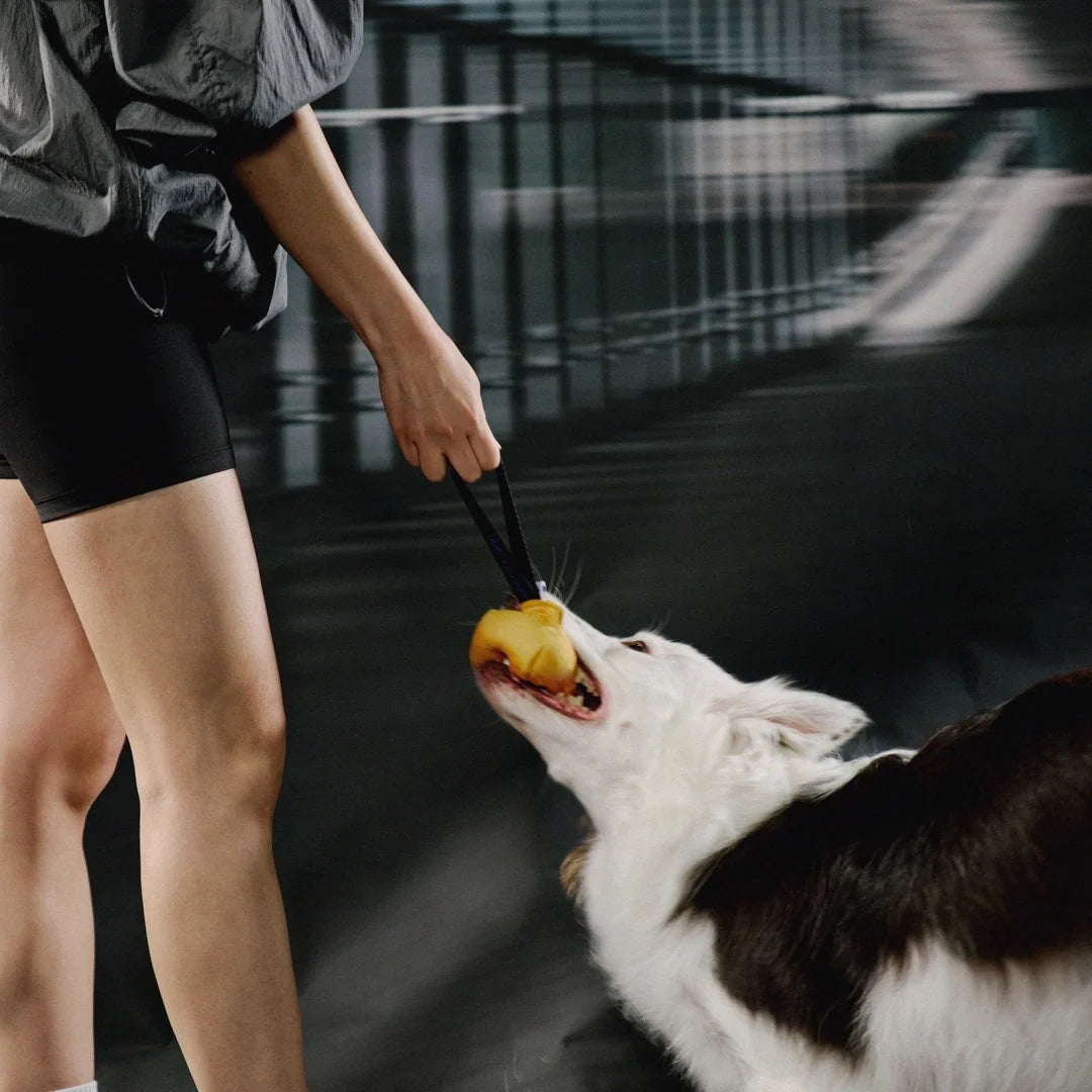 Maxer Ball Tug (Yellow)