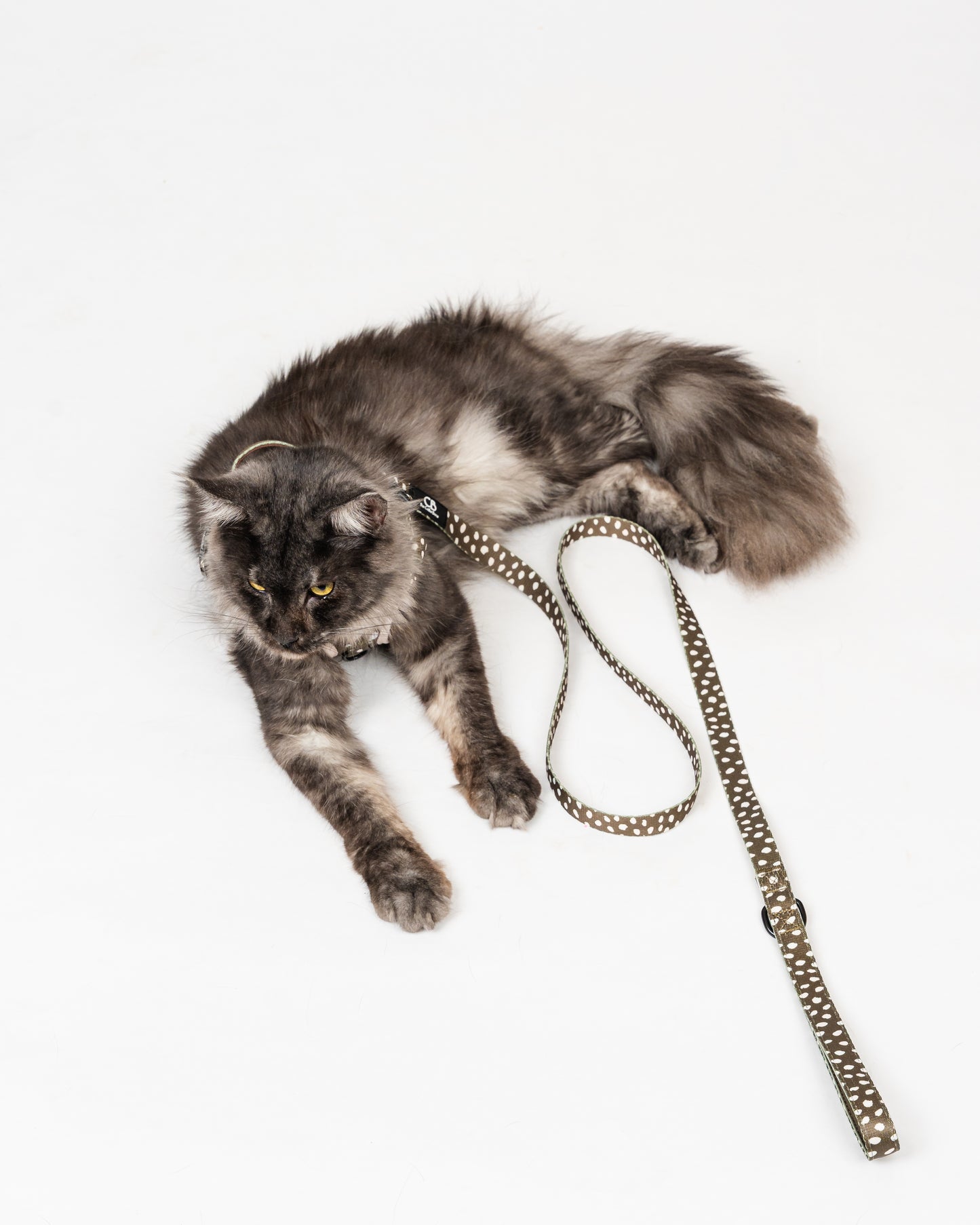 Oxford Active No-Pull Harness in Almonds in Olive