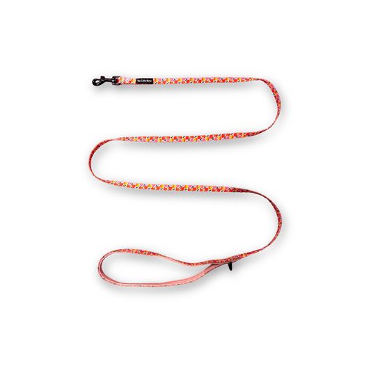 Teeny back-to-basic Leash in Apple of My Eye