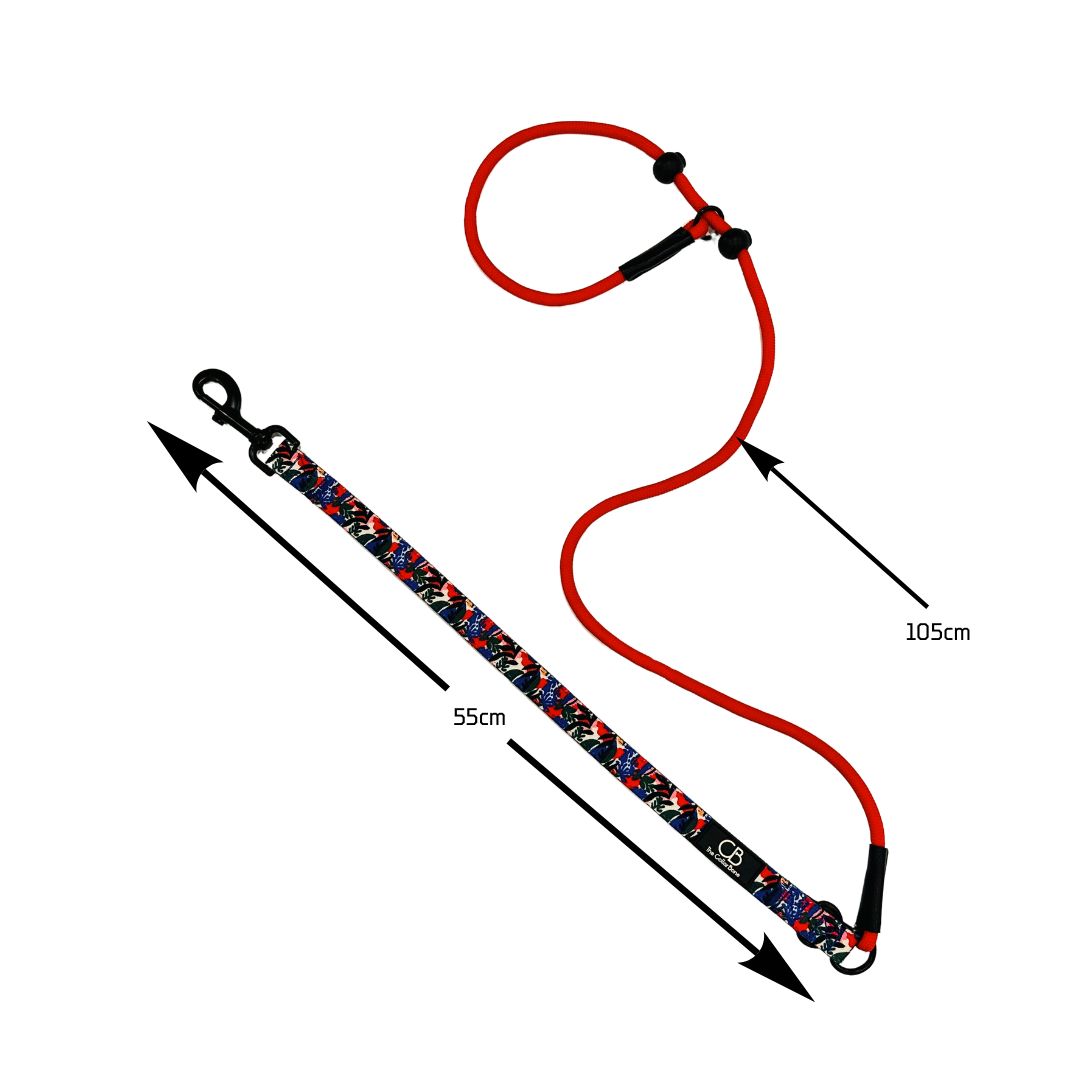 Paxton P-Leash in Mirage