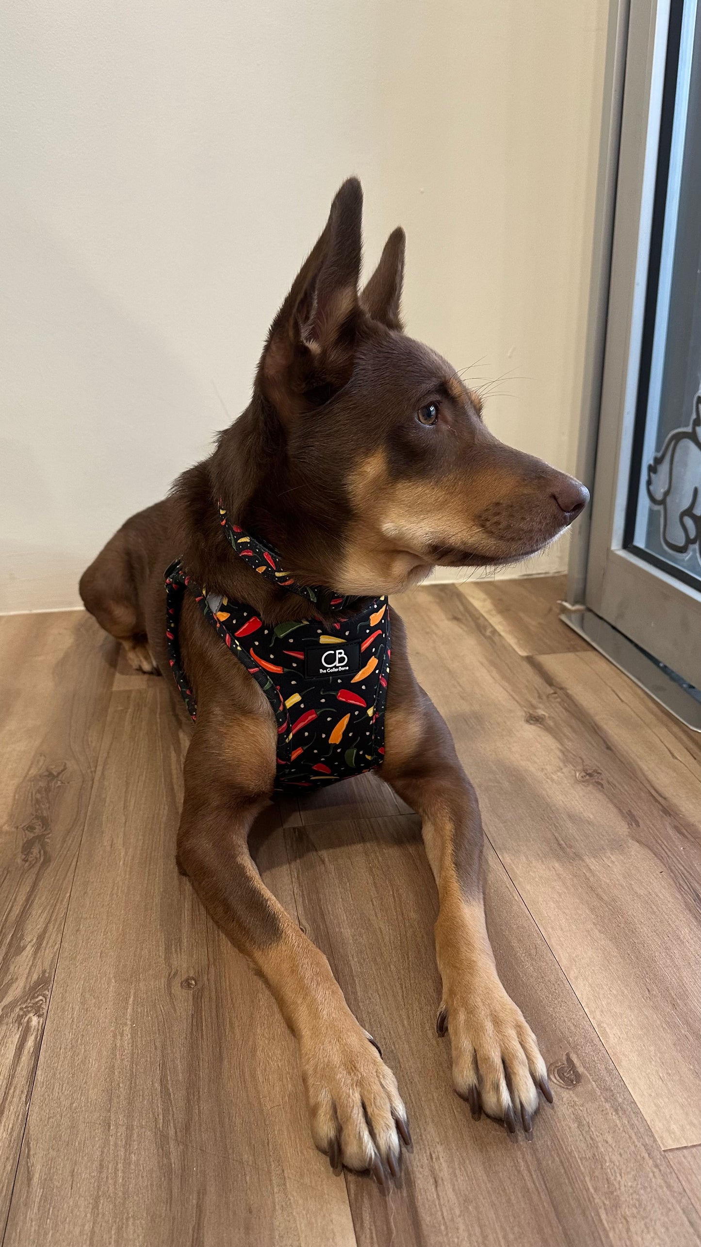 Teeny Step-In Vest/Harness in Chilli Padi