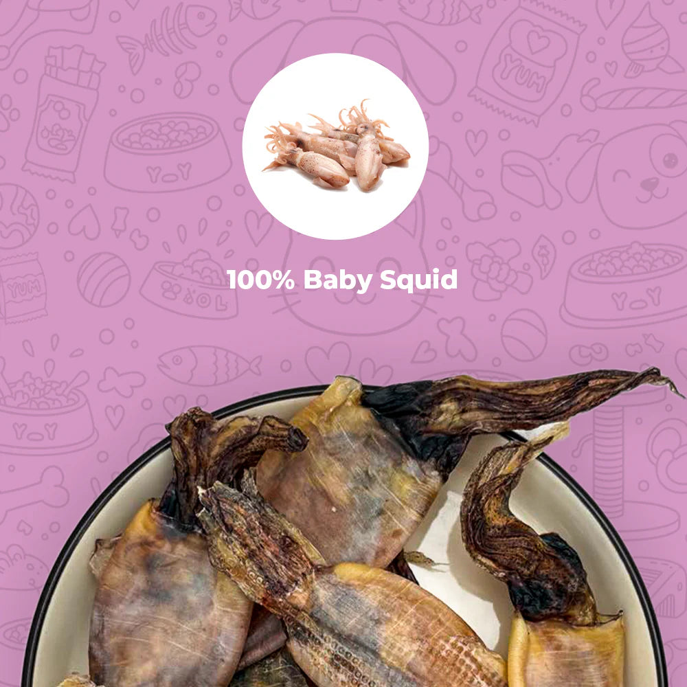 Barkery Oven Baby Squid (30 Gram)