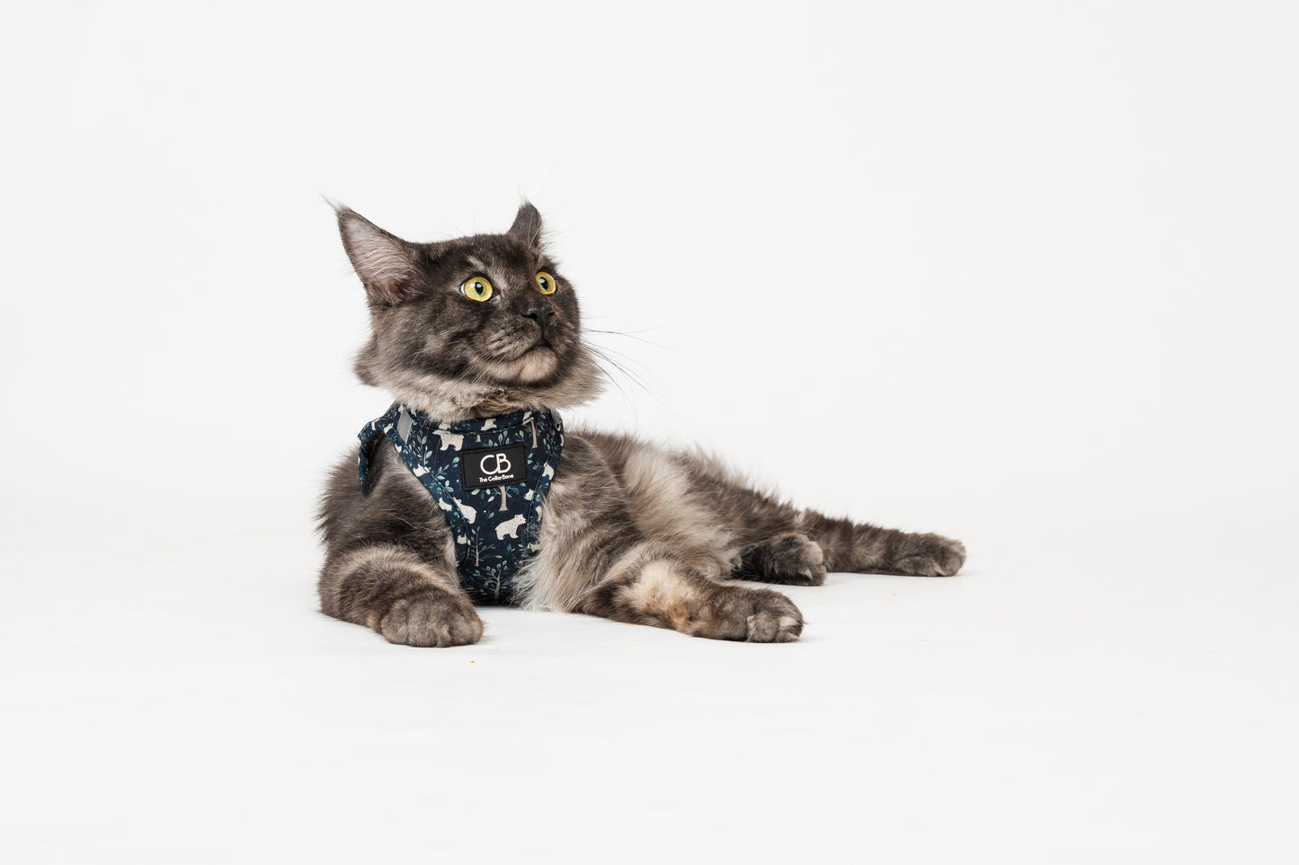 Teeny Step-In Vest/Harness in Brisk Bear