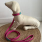 Zuri Faux Leather Cat/Dog Collar in Hot Pink