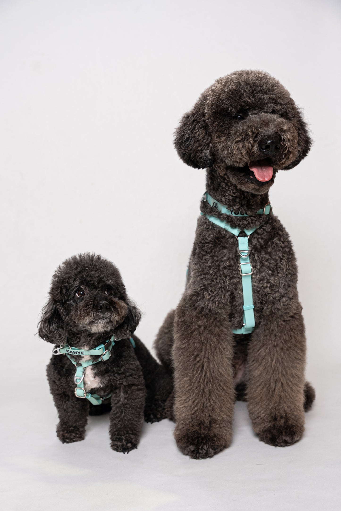 Oceane 2.0 Waterproof Y-Harness in Tiffany's Afterglow (Glow-in-the-Dark Blue)