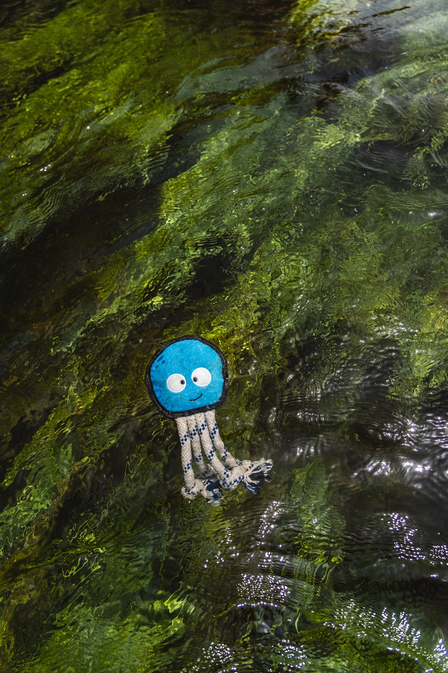 V-Pet Rough & Tough Wave Warriors Collection - Octopus