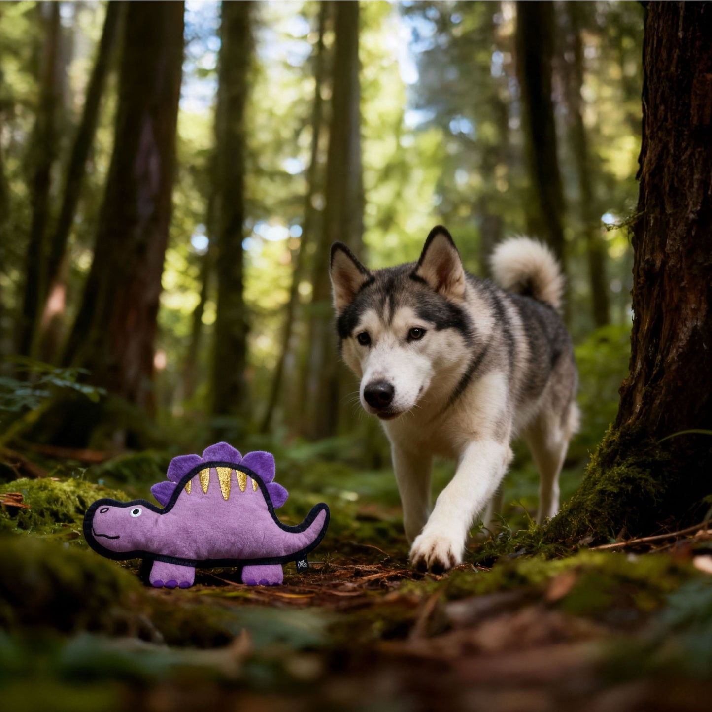 V-Pet Jurassic Echo Stegosaurus- Purple (NEW)