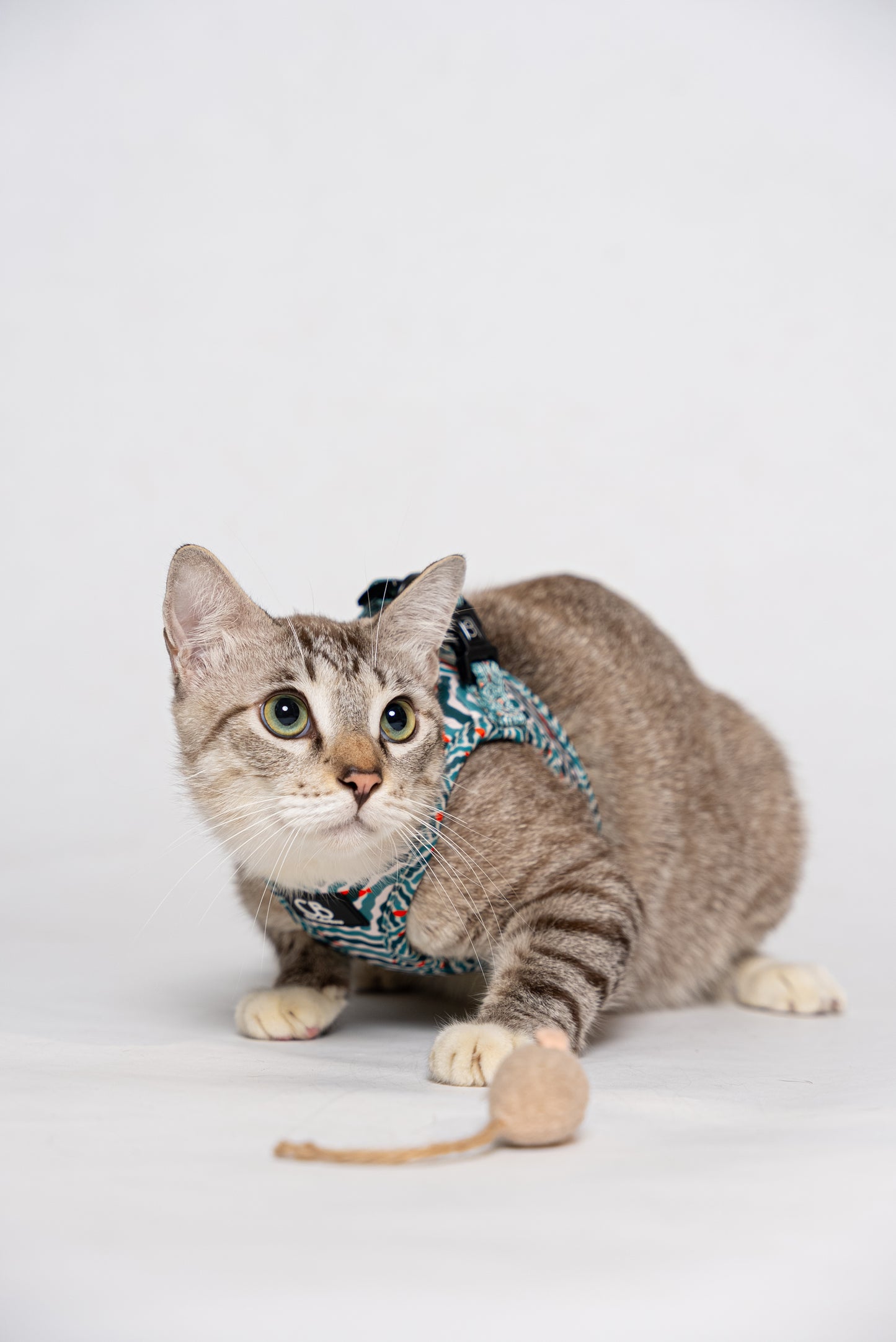 Teeny Step-In Vest/Harness in Goldfish Glade