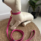 Zuri Faux Leather Cat/Dog Leash in Hot Pink