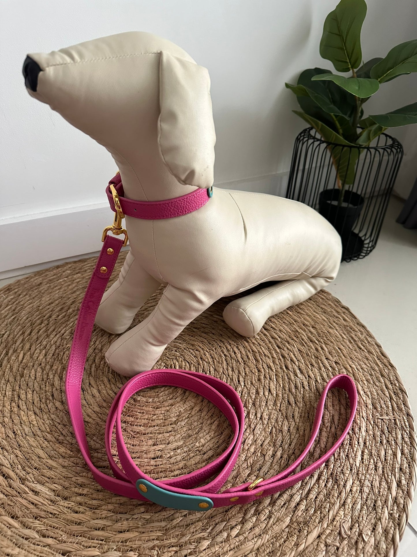 Zuri Faux Leather Cat/Dog Leash in Hot Pink