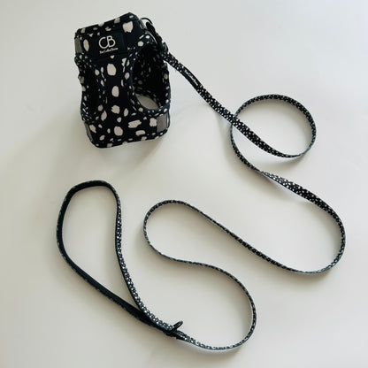 Teeny back-to-basic Leash in Spots