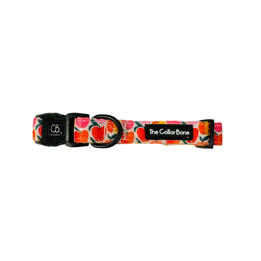 Halston Adjustable Pet Collar in Apple of My Eye