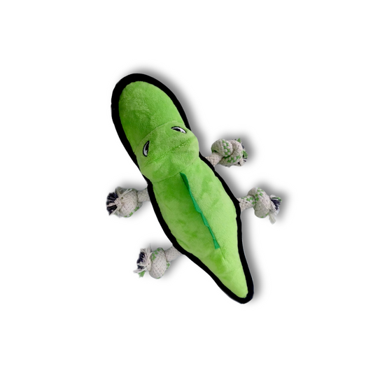 V-Pet Rough & Tough Welcome to the Jungle Collection - Alligator