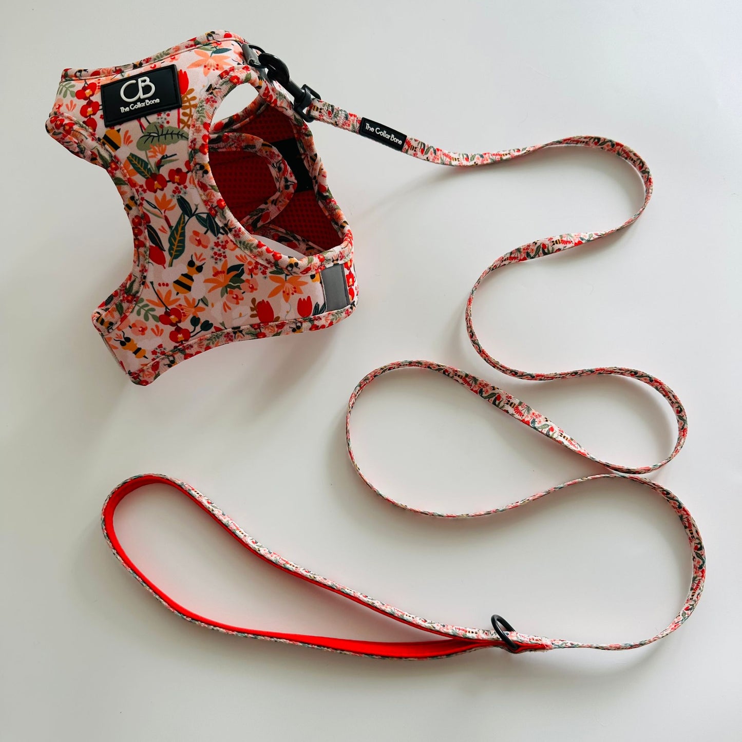 Teeny back-to-basic Leash in Busy Bee