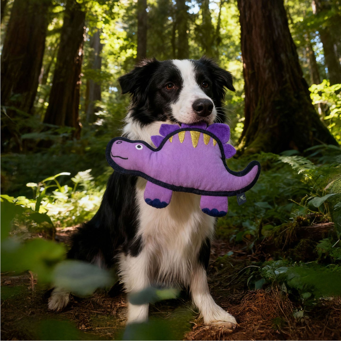 V-Pet Jurassic Echo Stegosaurus- Purple (NEW)