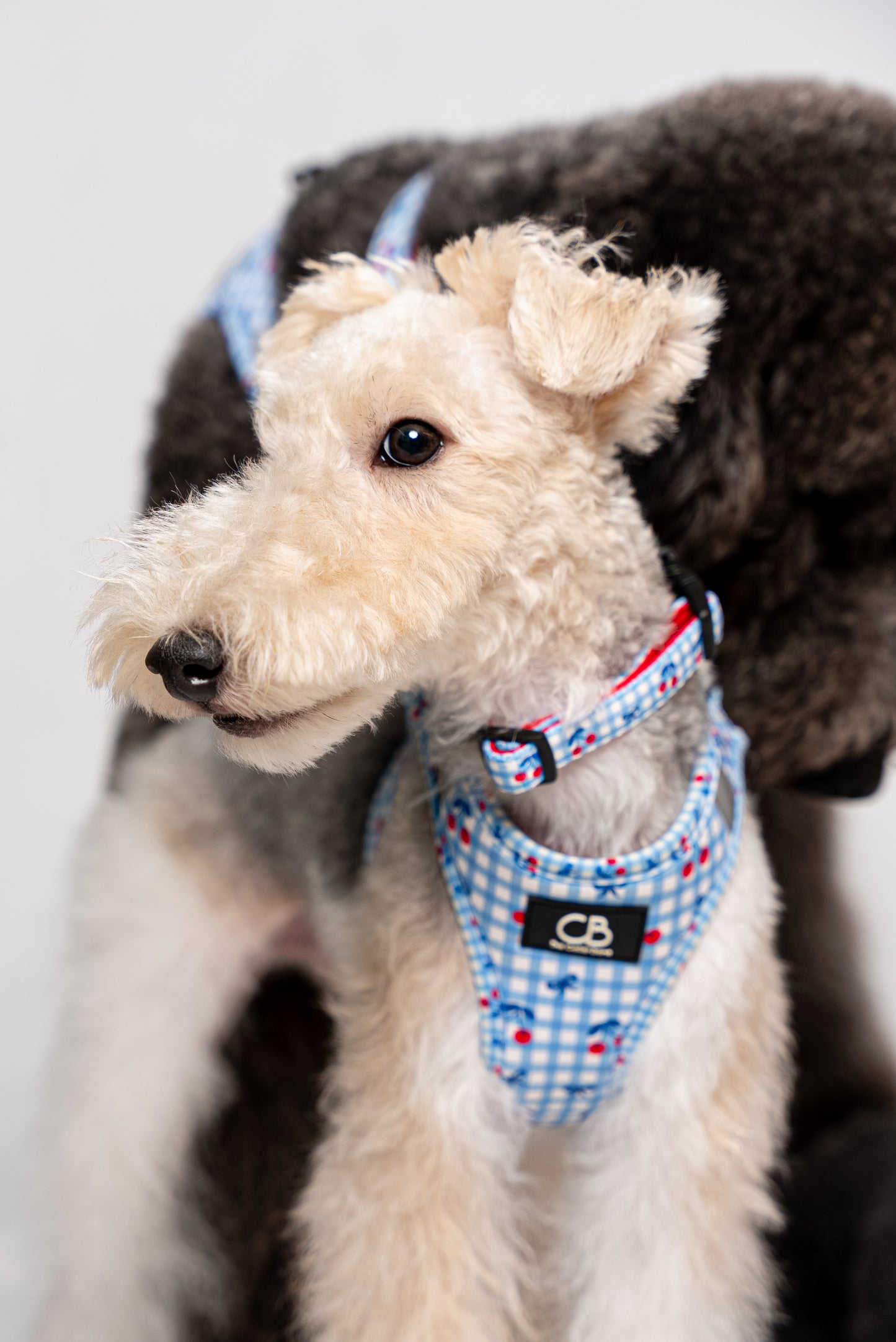 Teeny Step-In Vest/Harness in Cherry Checks