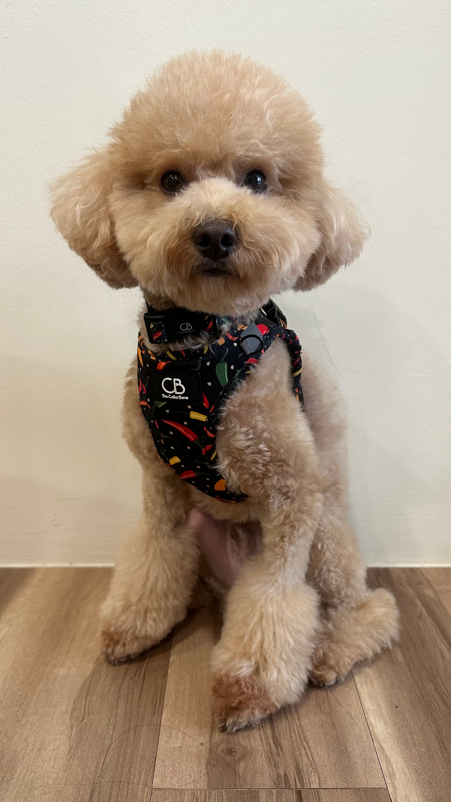 Teeny Step-In Vest/Harness in Chilli Padi