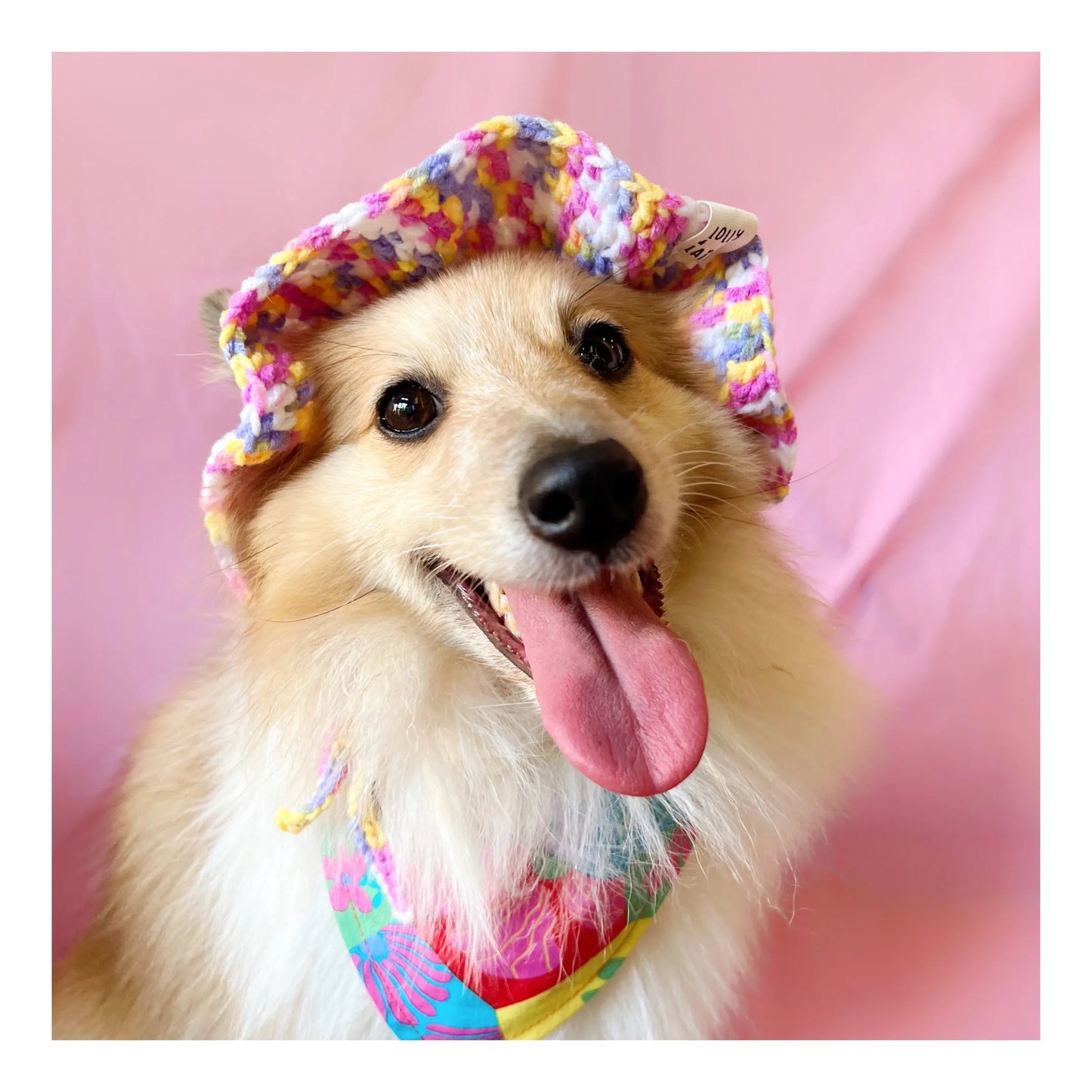 Lolly & Laine Crochet Hats (Size XL)