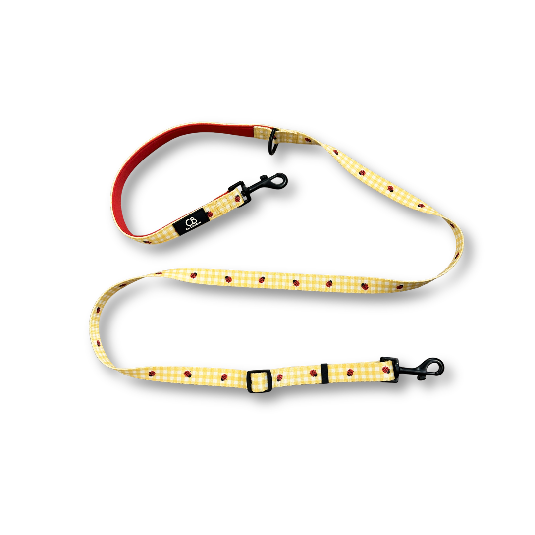 Classic Leash in Ladybug Lemon