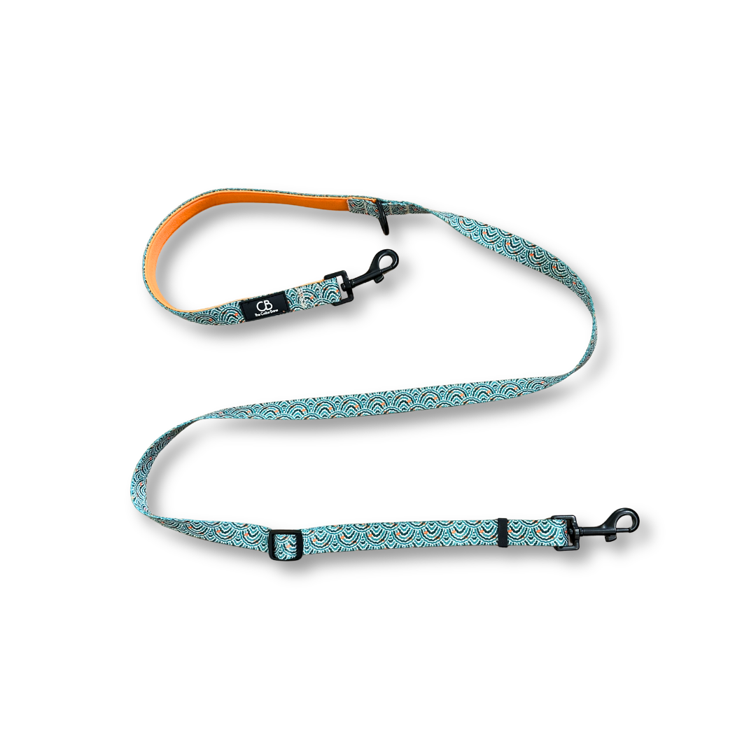 Classic Leash in Goldfish Glade