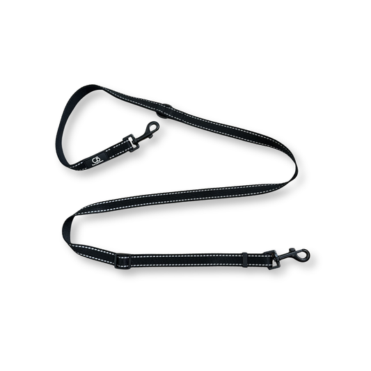 Classic Leash in Black with Reflective Stitching