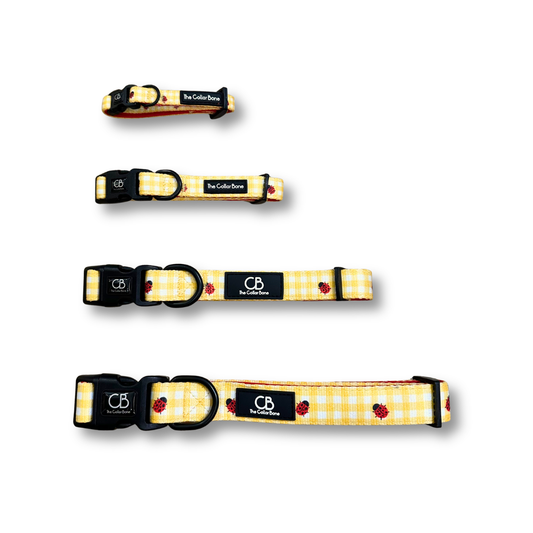 Halston Adjustable Pet Collar in Ladybug Lemon
