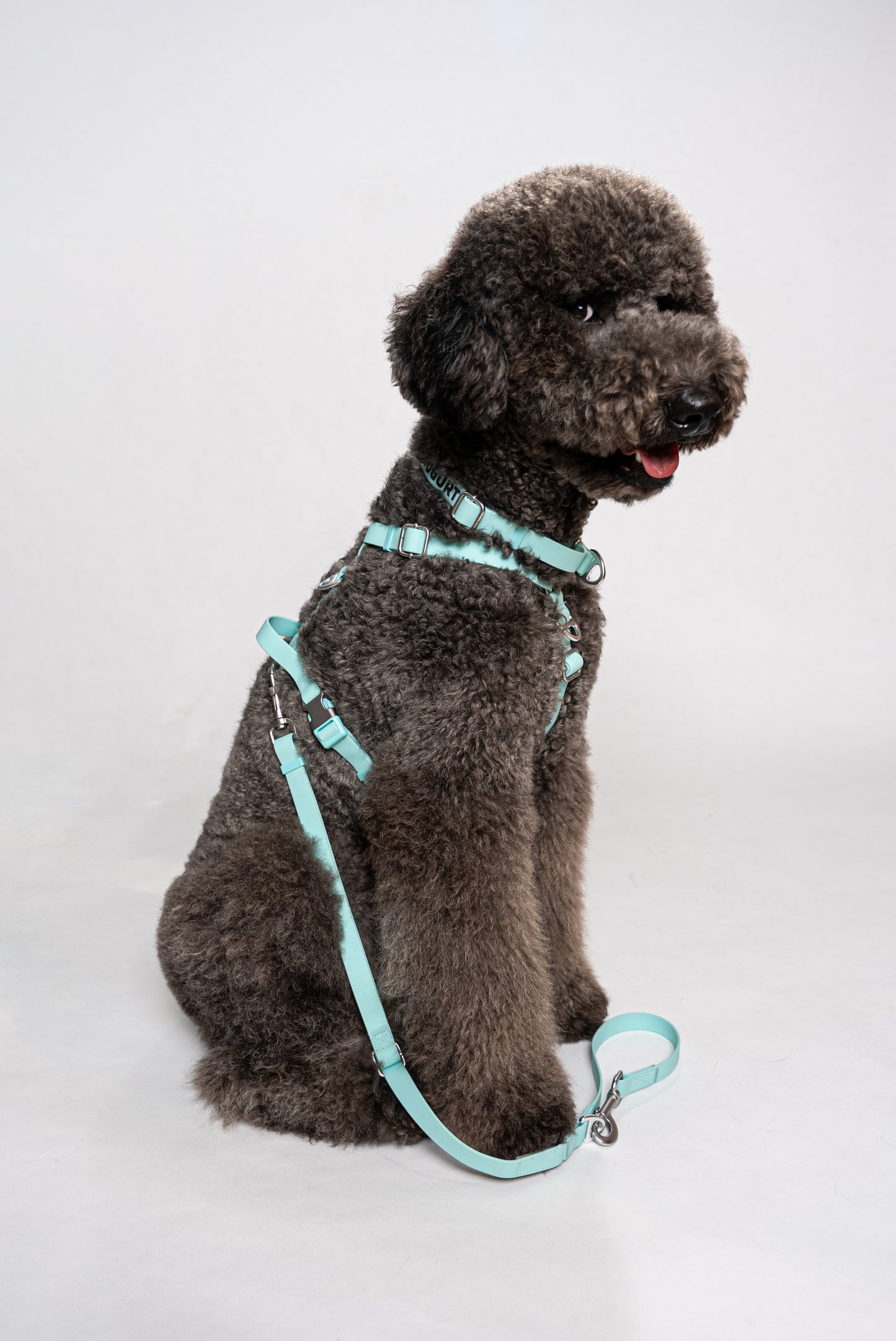 Oceane 2.0 Waterproof Y-Harness in Tiffany's Afterglow (Glow-in-the-Dark Blue)
