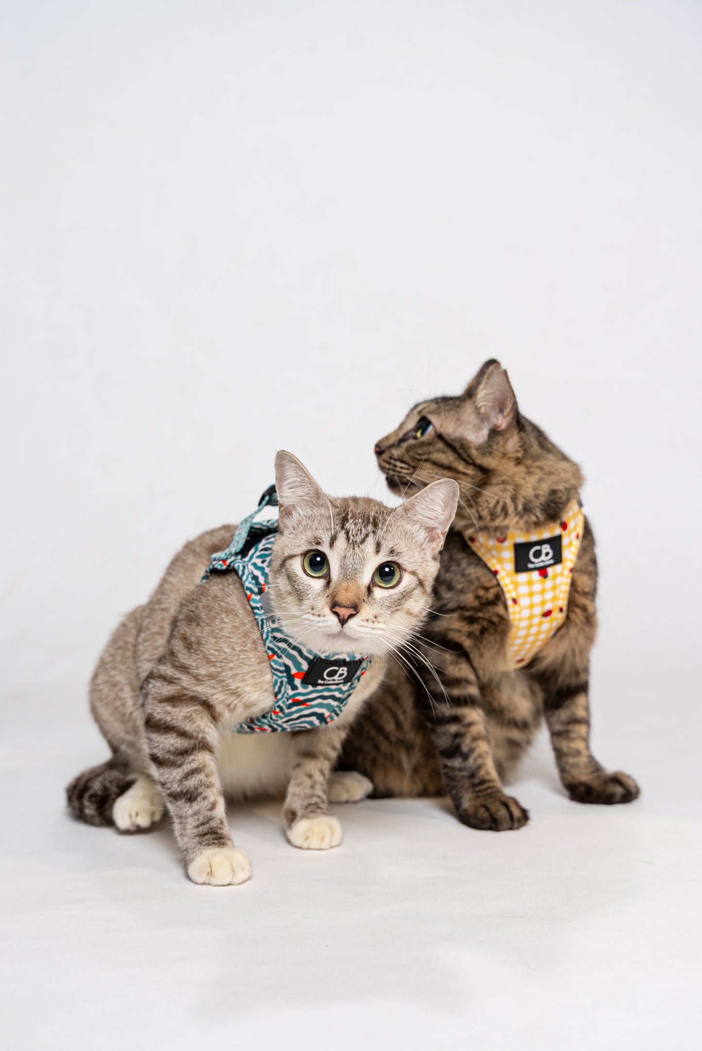 Teeny Step-In Vest/Harness in Goldfish Glade