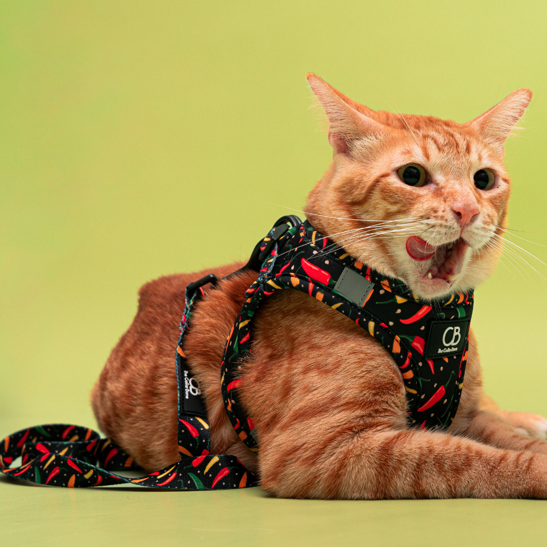 Teeny Step-In Vest/Harness in Chilli Padi