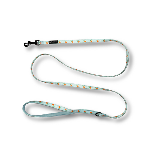 Teeny back-to-basic Leash in Clementine Crush