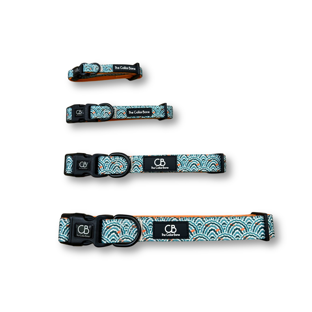 Halston Adjustable Pet Collar in Goldfish Glade