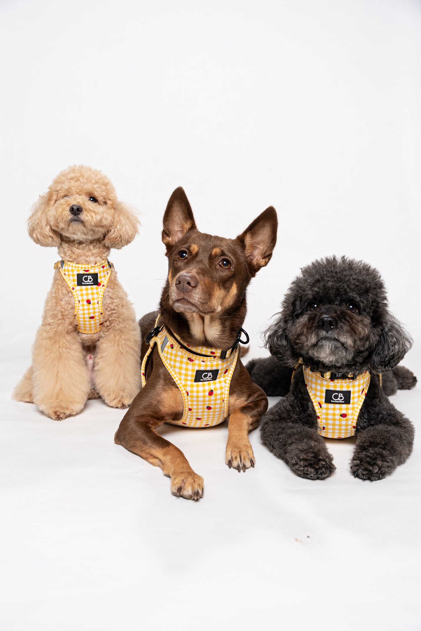Teeny Step-In Vest/Harness in LadyBug Lemon