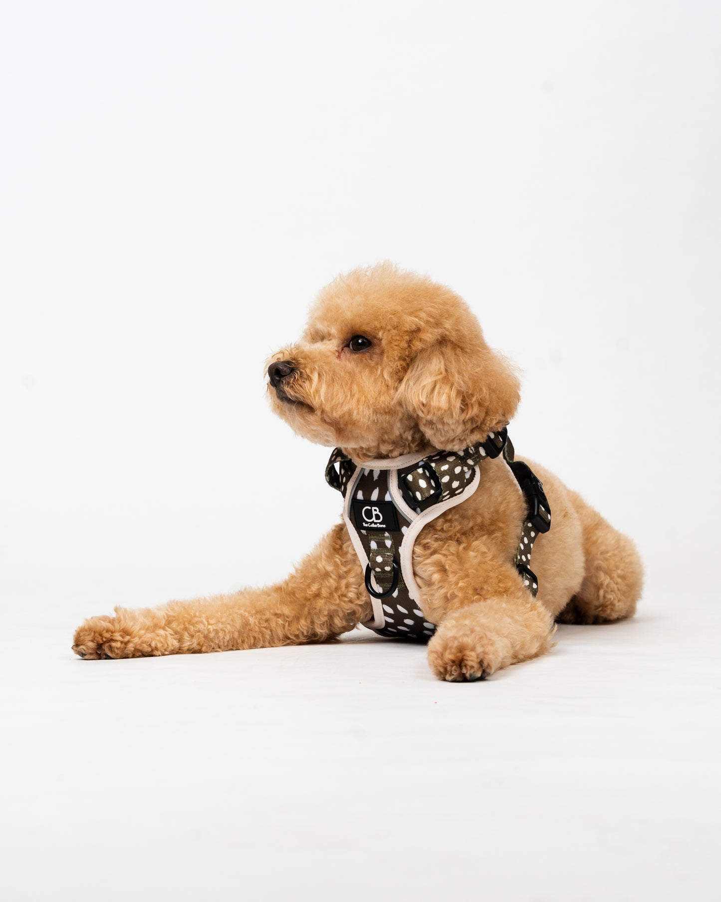 Oxford Active No-Pull Harness in Almonds in Olive