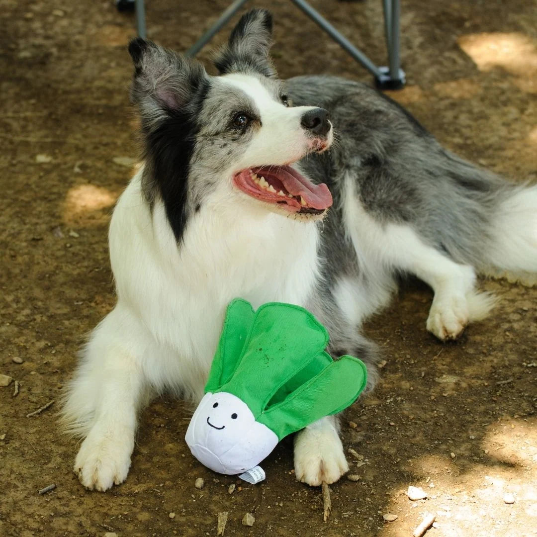 V-Pet I Love Vegetables Cabbage