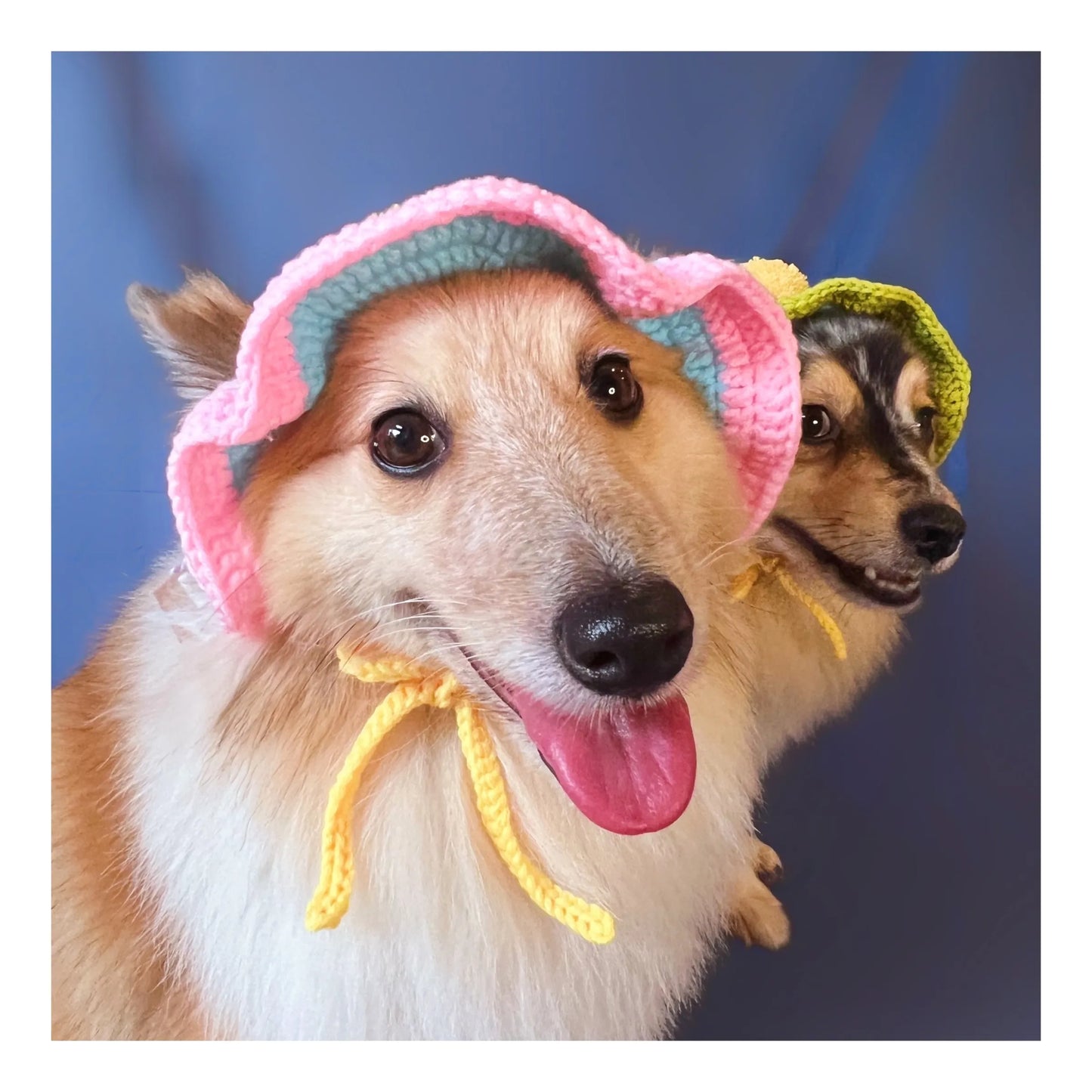 Lolly & Laine Crochet Hats (Size XL)