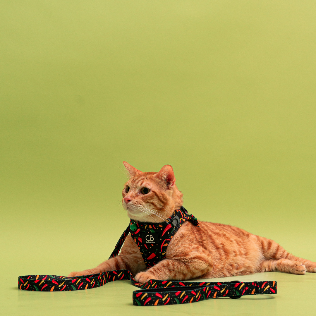 Teeny Step-In Vest/Harness in Chilli Padi