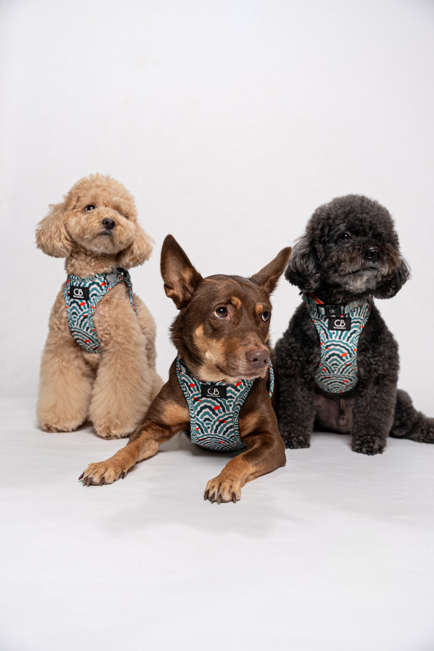 Teeny Step-In Vest/Harness in Goldfish Glade