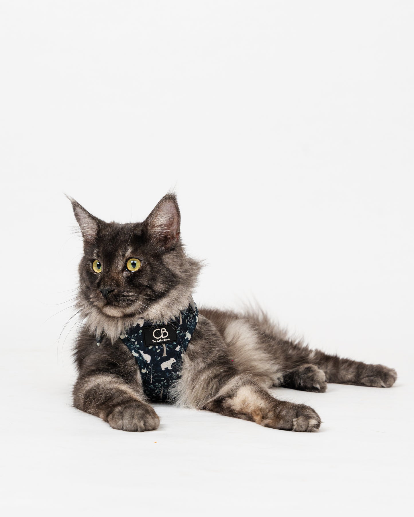 Teeny Step-In Vest/Harness in Brisk Bear