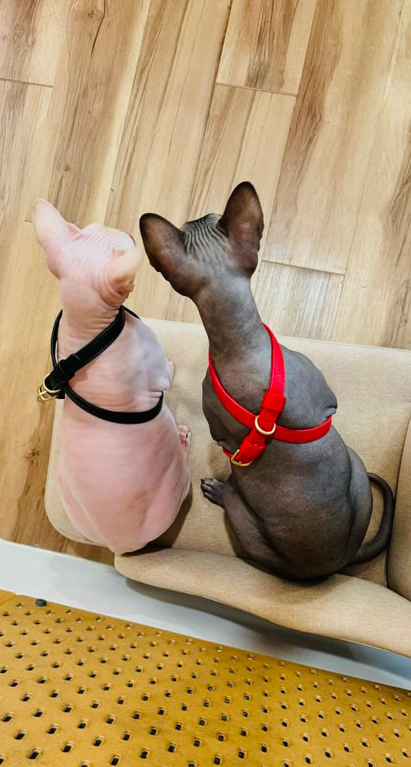 Zaara Vegan Leather Harness in Velvet Red