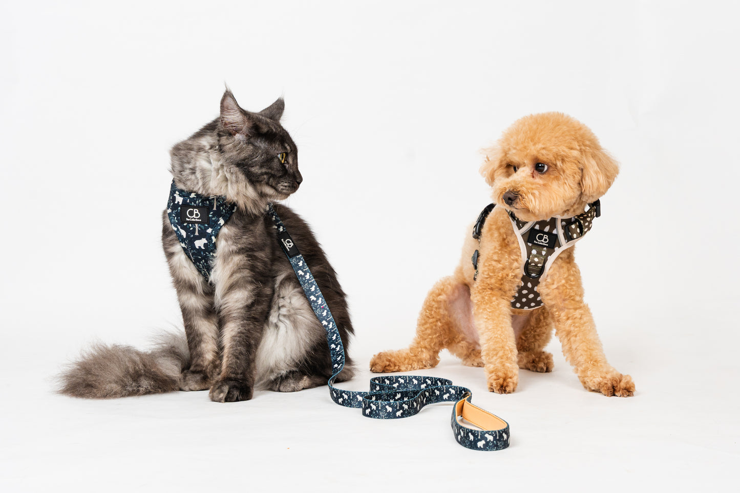 Teeny Step-In Vest/Harness in Brisk Bear