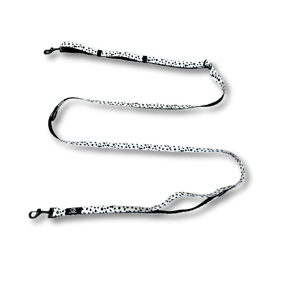 Brighton Multiway Handsfree Leash in Dalmatian