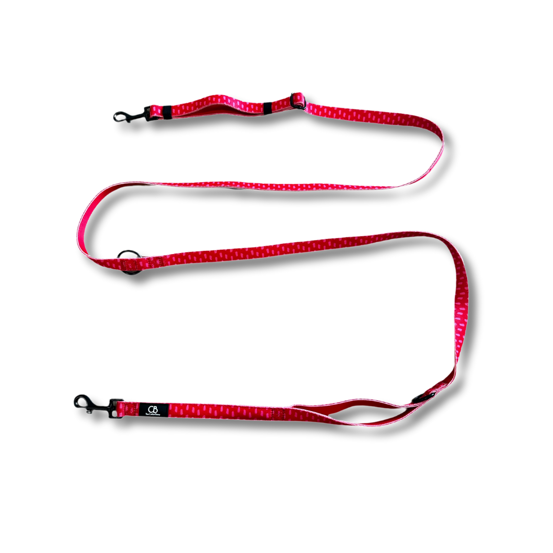 Brighton Multiway Handsfree Leash in Raspberry Red and Pink